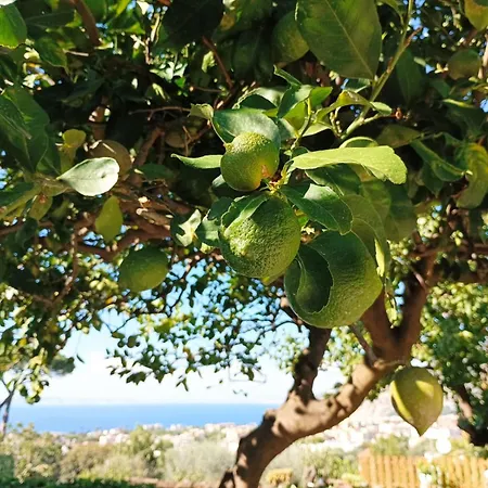 La Pigna Sorrento פיאנו די סורנטו