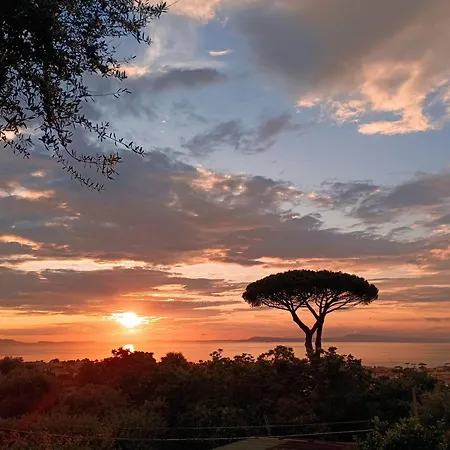 Holiday home La Pigna Sorrento Piano di Sorrento